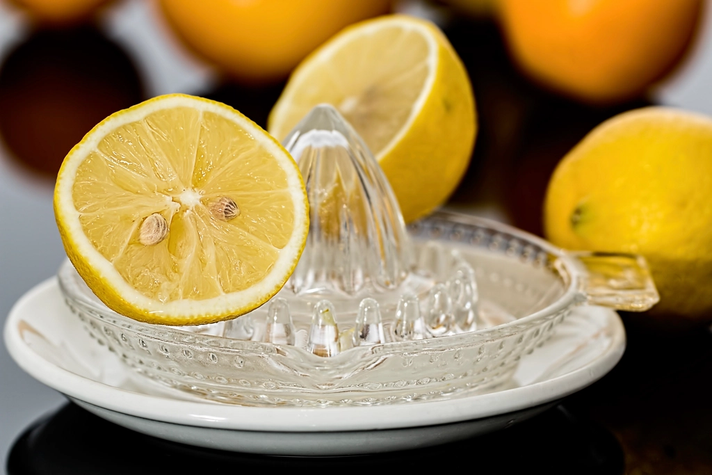 Juicer on a kitchen counter